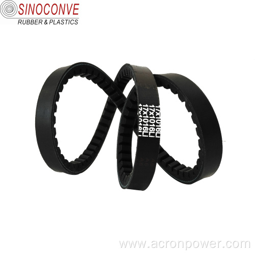 Cogged Auto Drive Rubber Fan Belt AV10-1100la